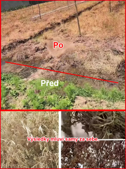 Profesionální likvidátor plevele | Výsledky za 3 hodiny | Ničí plevel i s kořeny
