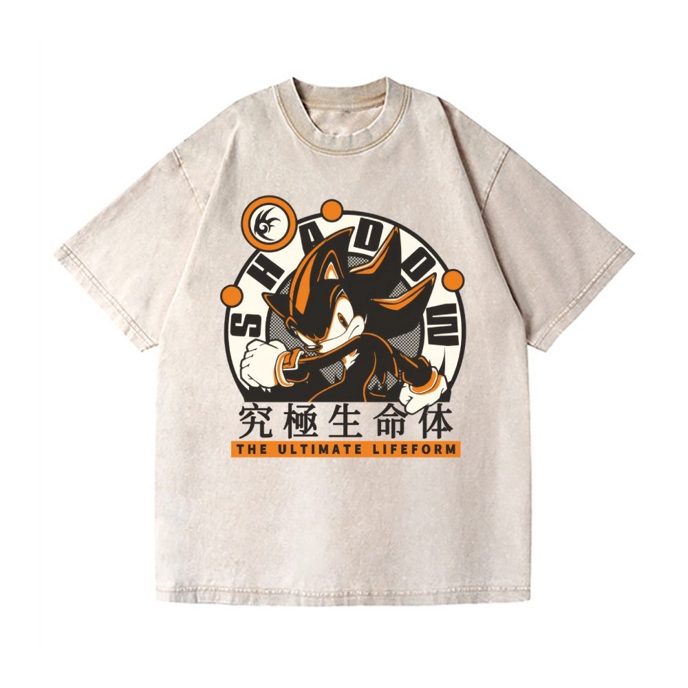 Sonic Shadow Vintage Wash Japanese Design T-Shirt