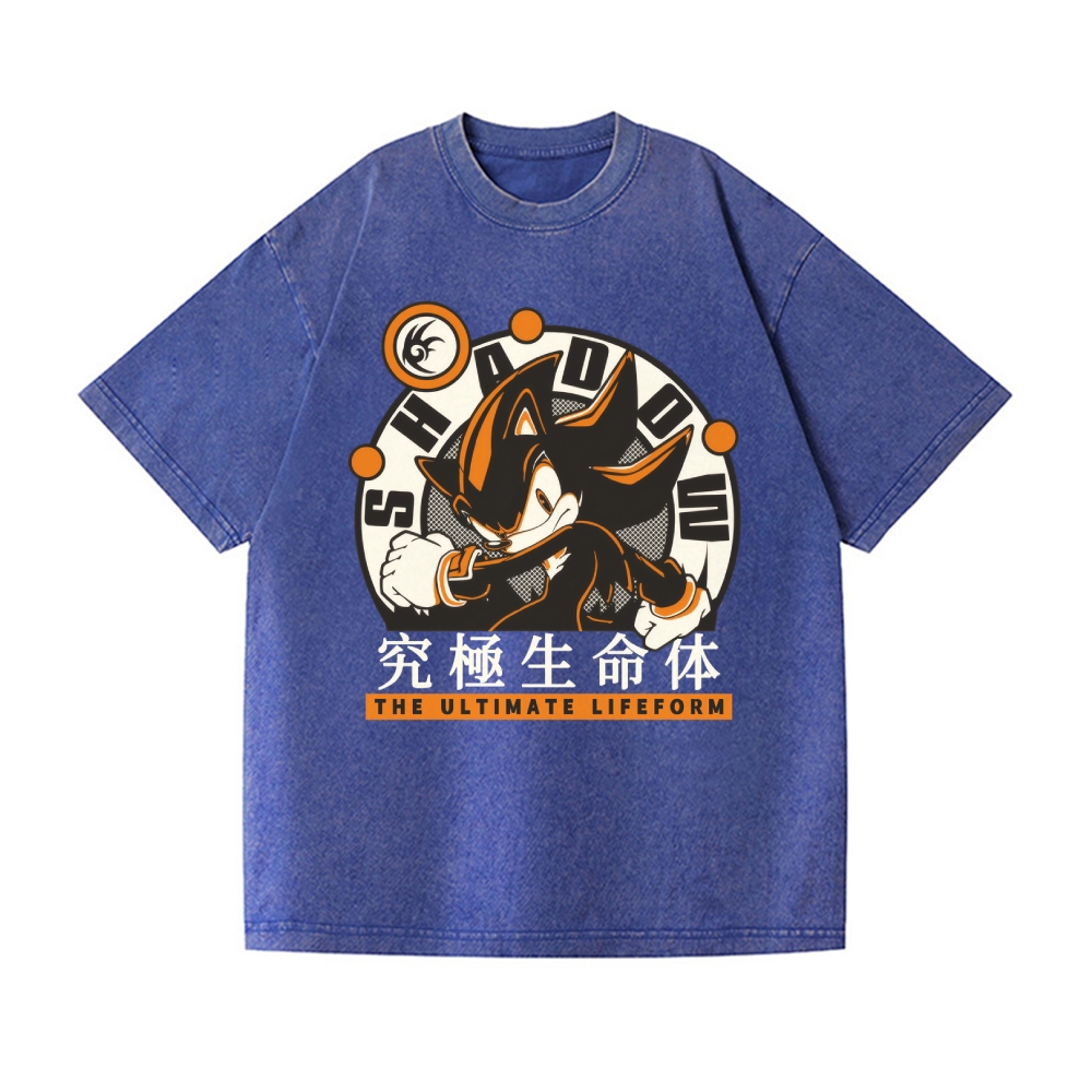Sonic Shadow Vintage Wash Japanese Design T-Shirt