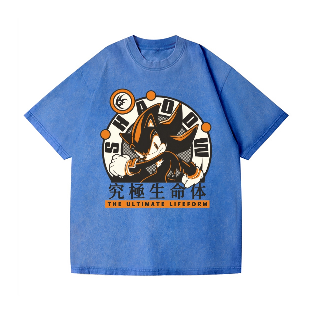 Sonic Shadow Vintage Wash Japanese Design T-Shirt