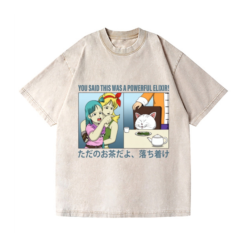 Bulma Girl Pointing at a Cat Vintage Wash Japanese Design T-Shirt