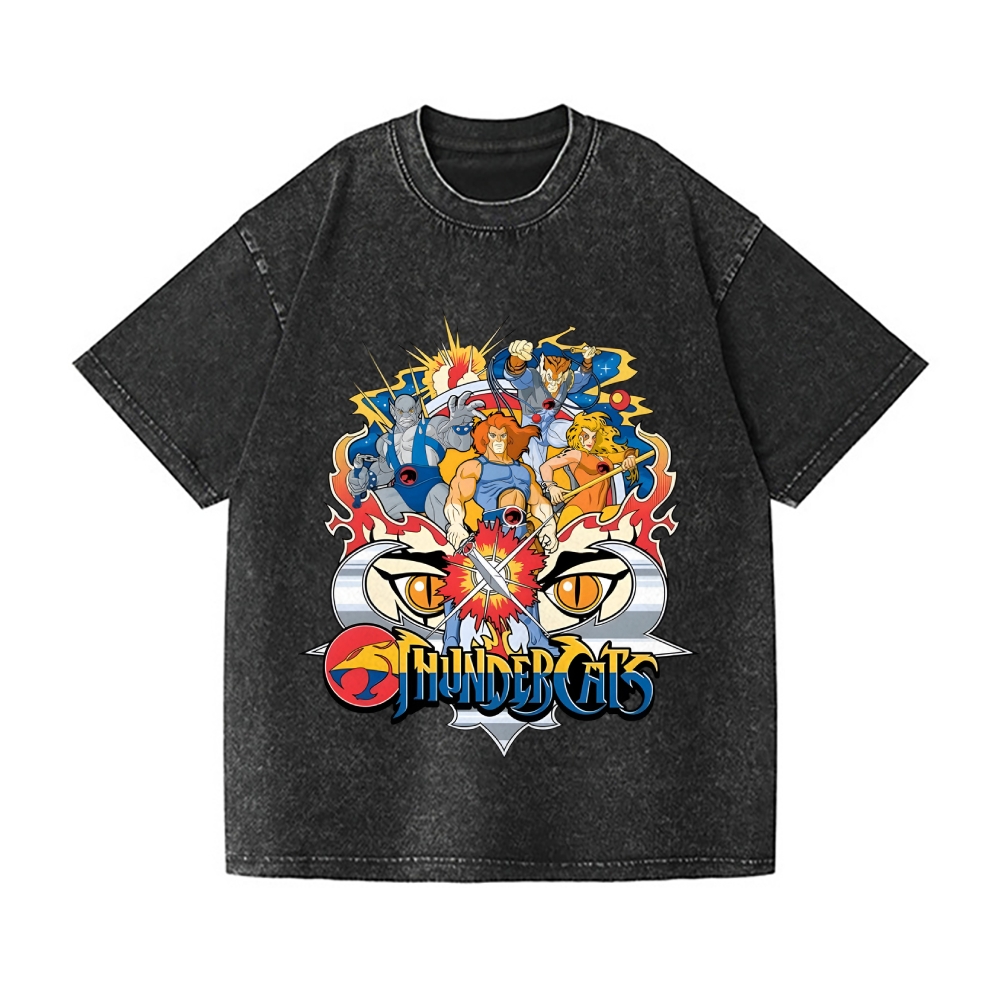 ThunderCats Vintage Wash Japanese Design T-Shirt