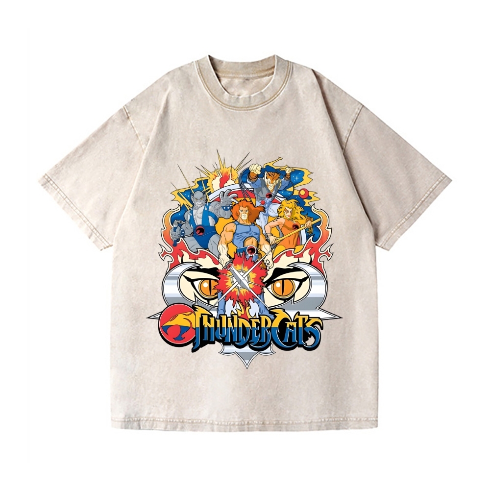 ThunderCats Vintage Wash Japanese Design T-Shirt