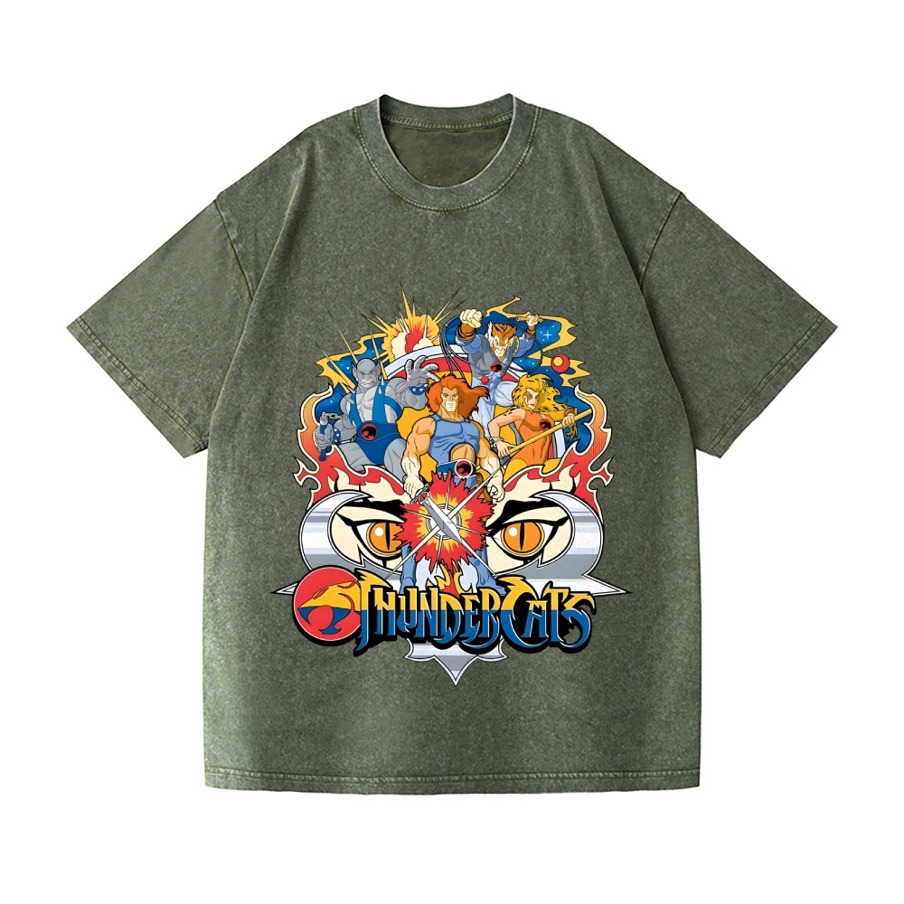 ThunderCats Vintage Wash Japanese Design T-Shirt