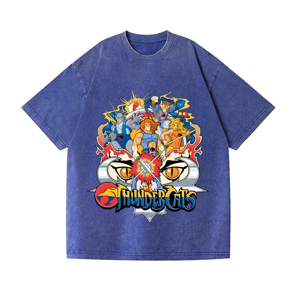 ThunderCats Vintage Wash Japanese Design T-Shirt
