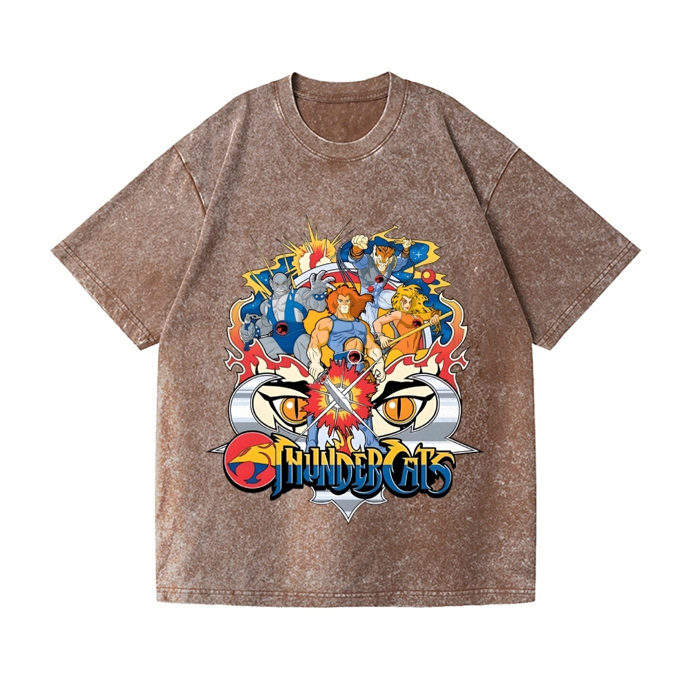 ThunderCats Vintage Wash Japanese Design T-Shirt