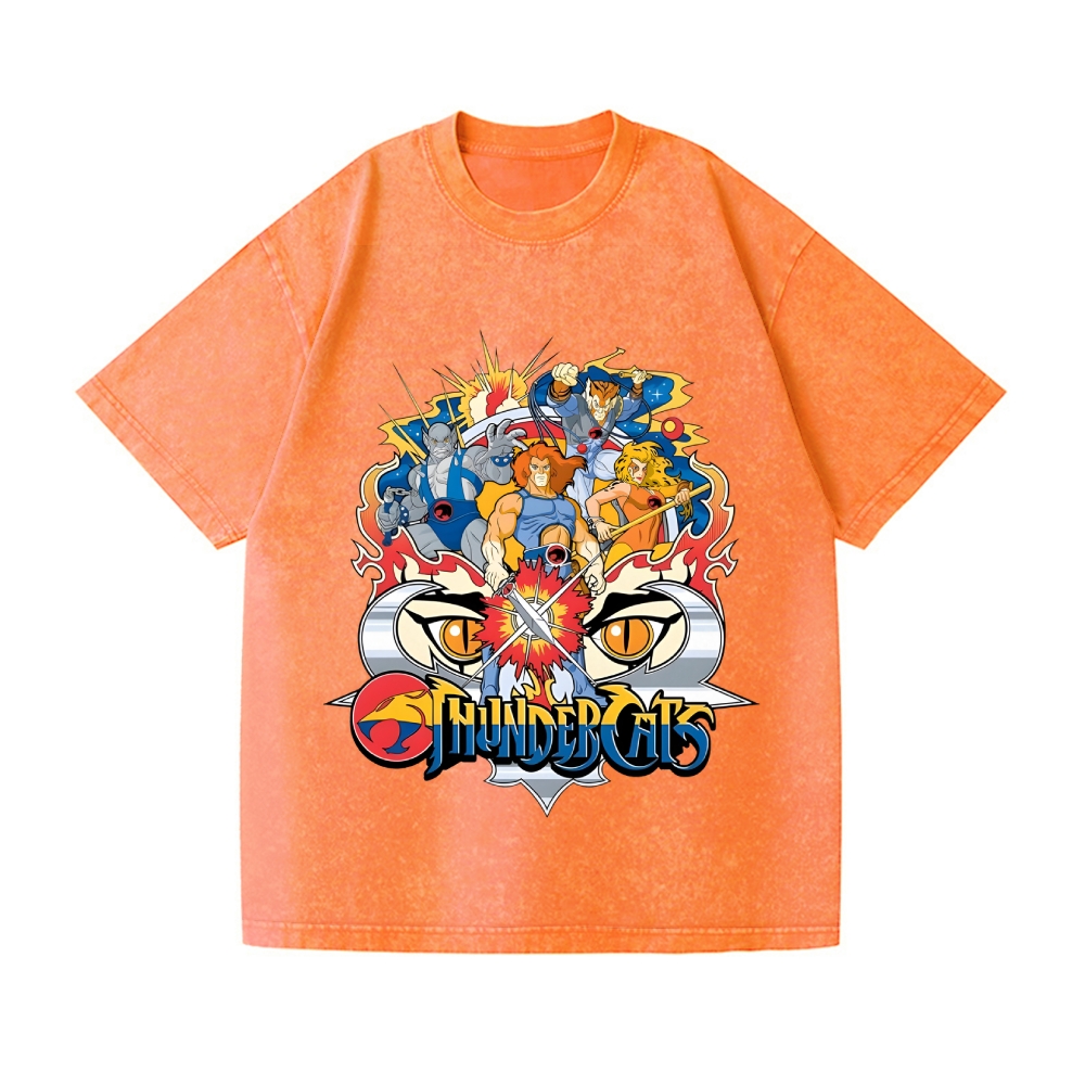 ThunderCats Vintage Wash Japanese Design T-Shirt