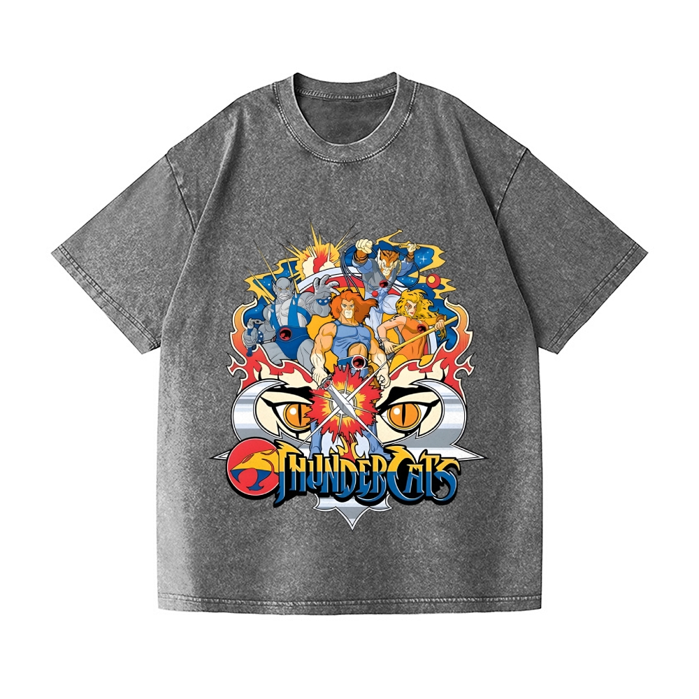 ThunderCats Vintage Wash Japanese Design T-Shirt
