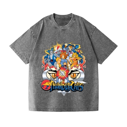 ThunderCats Vintage Wash Japanese Design T-Shirt