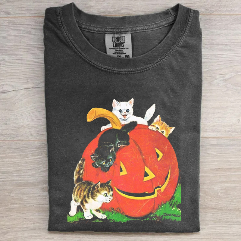 Comfort Colors Cat on Pumpkin T-shirt