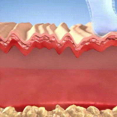 Bee Venom Facial Firming Essence Stick Made and Shipped from USA 32 2195436582fe4793bd4730438c23d288