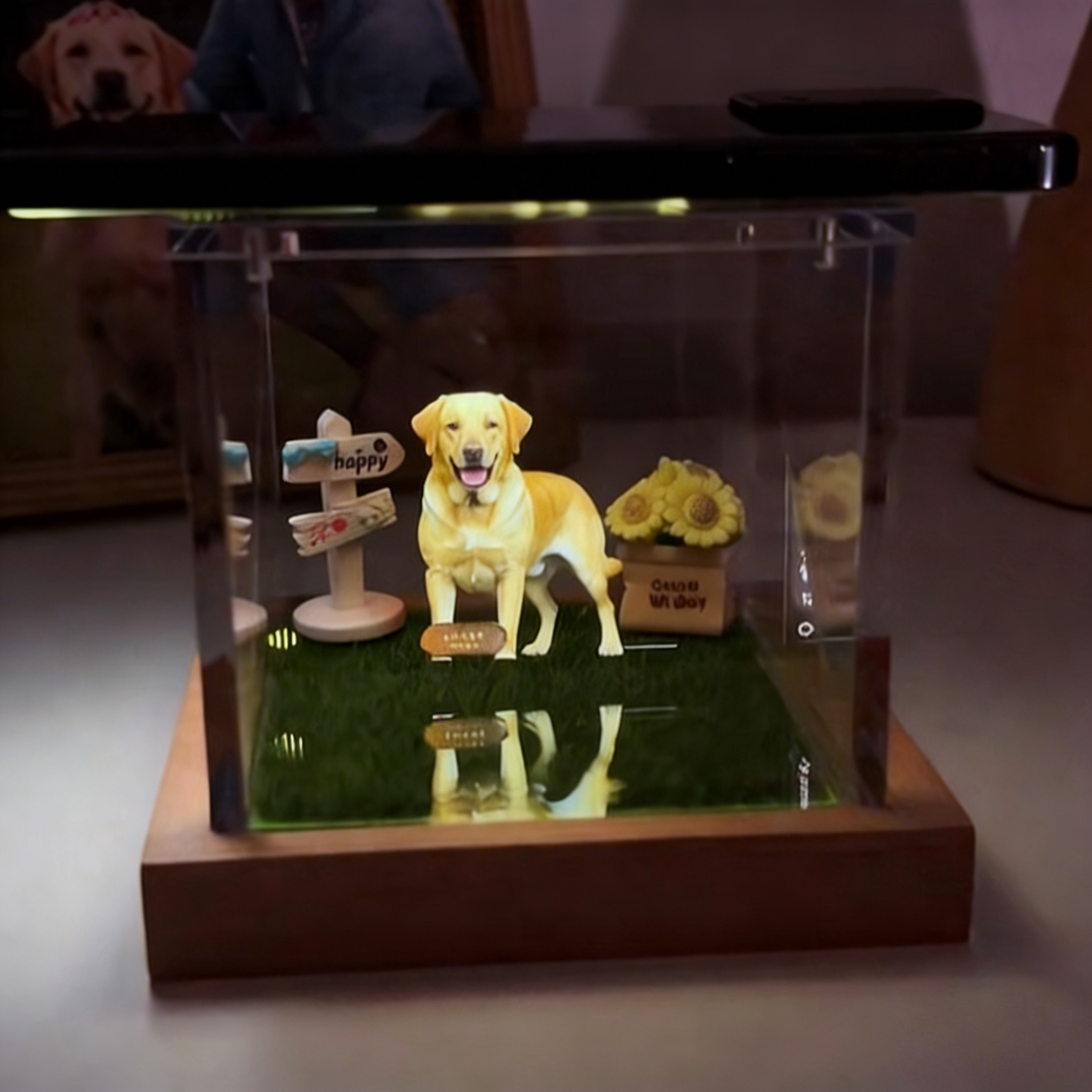 Pet Digital Hologram House with Wooden Base