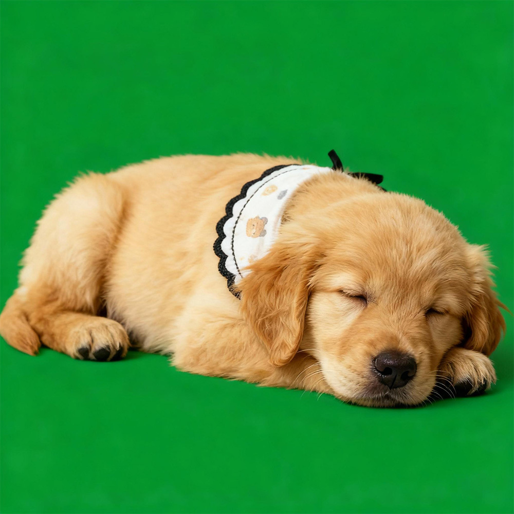 Holographic Digital Sences For Pet Holographic Digital House(Only Digital Sences Video by E-mail; Pet House Need to be purchased separately)