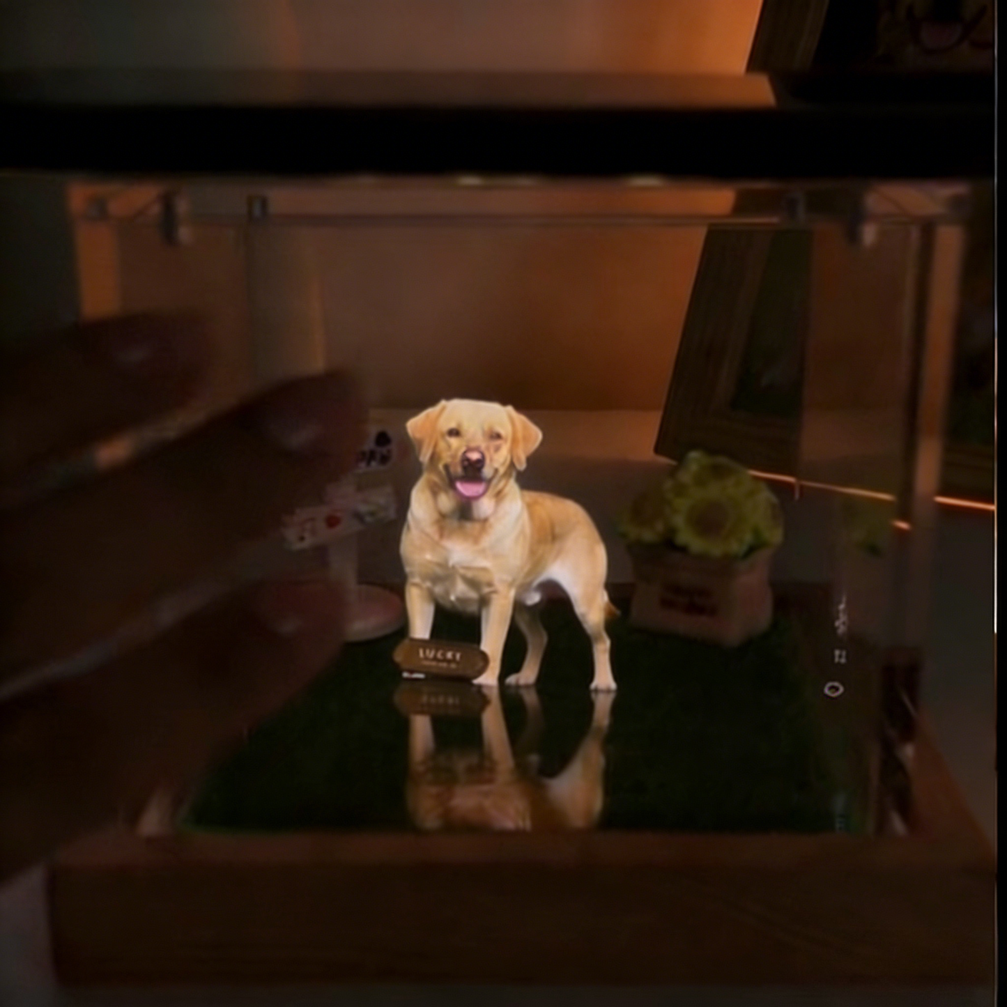 Pet Digital Hologram House with Wooden Base