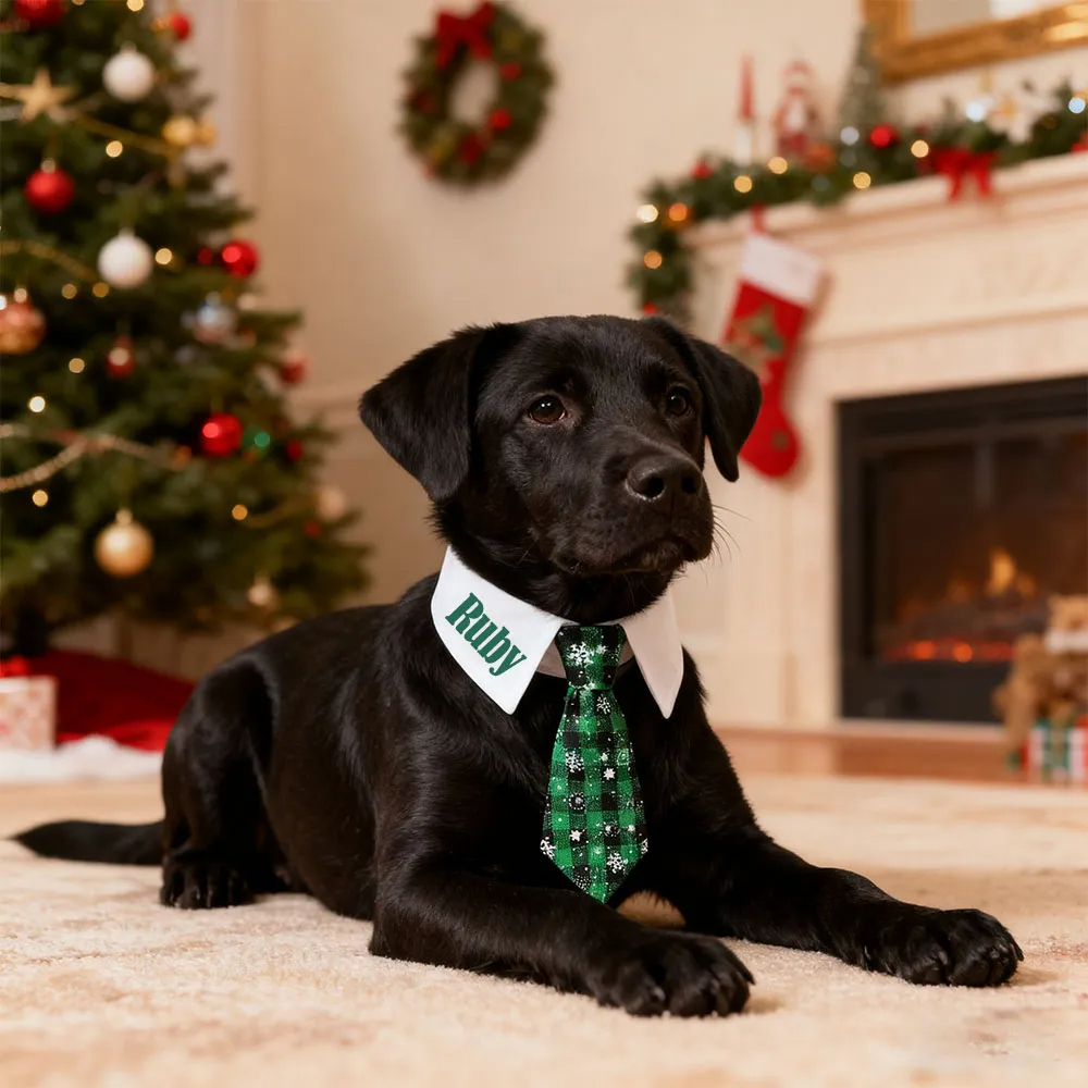 Personalized Name Christmas Pet Tie Gift for Pet Lover