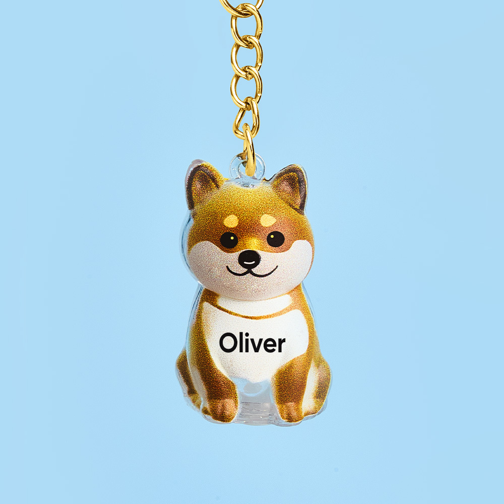 Dog Hair Collector Keychain Bag Charm Memorial Storage Box Sentimental Perfect for Storing Pet Hair Gift for Dog Lovers - CustWit