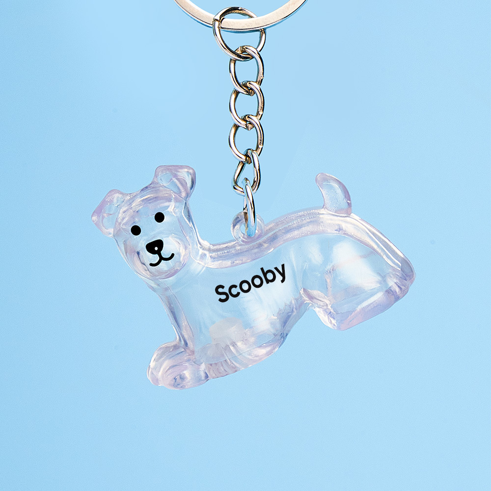 Dog Hair Collector Keychain Bag Charm Memorial Storage Box Sentimental Perfect for Storing Pet Hair Gift for Dog Lovers - CustWit