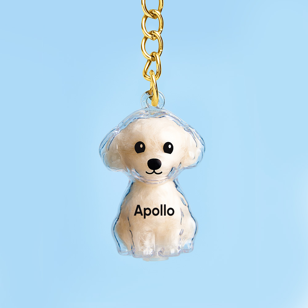 Dog Hair Collector Keychain Bag Charm Memorial Storage Box Sentimental Perfect for Storing Pet Hair Gift for Dog Lovers - CustWit