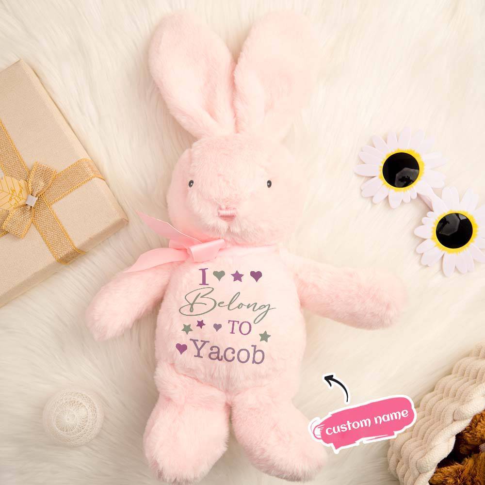 Personalized Bunny Rabbit Plush Stuffed Toy Gift for Children - CustWitUK