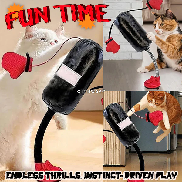 Cithway® Interactive Punching Bag Cat Toy