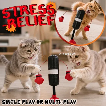 Cithway® Interactive Punching Bag Cat Toy