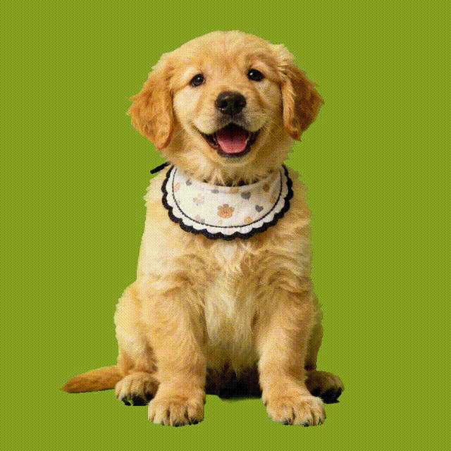 Personalized Pet Holograms House Lumina Boxes, Holographic Memorial Ornament, Cherish Your Pet’s Memory in Projection