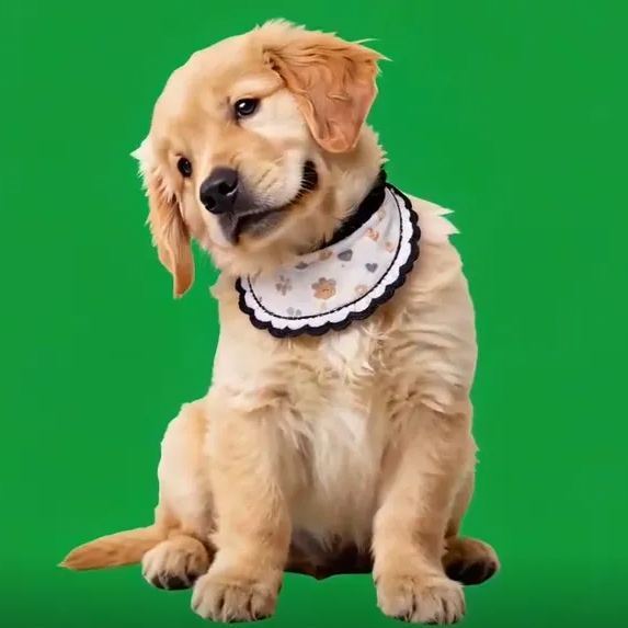 Casa Holográfica Para Mascotas En 3d, Lumina Boxes, Expositor Conmemorativo Personalizado Para Mascotas, Imagen Holográfica Cristalina - CustWitES