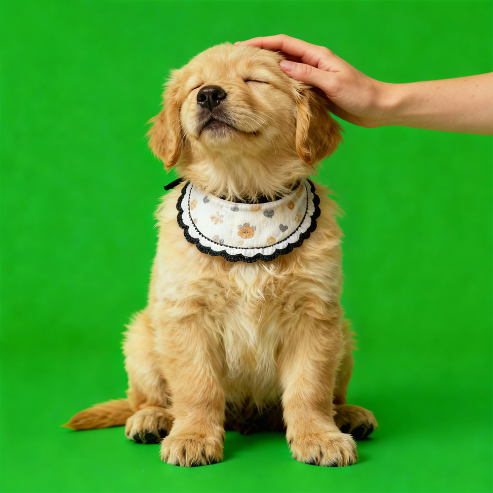 Cenários Digitais Holográficos para Casa Holográfica de Pets (Envio por e-mail — casa holográfica vendida separadamente)