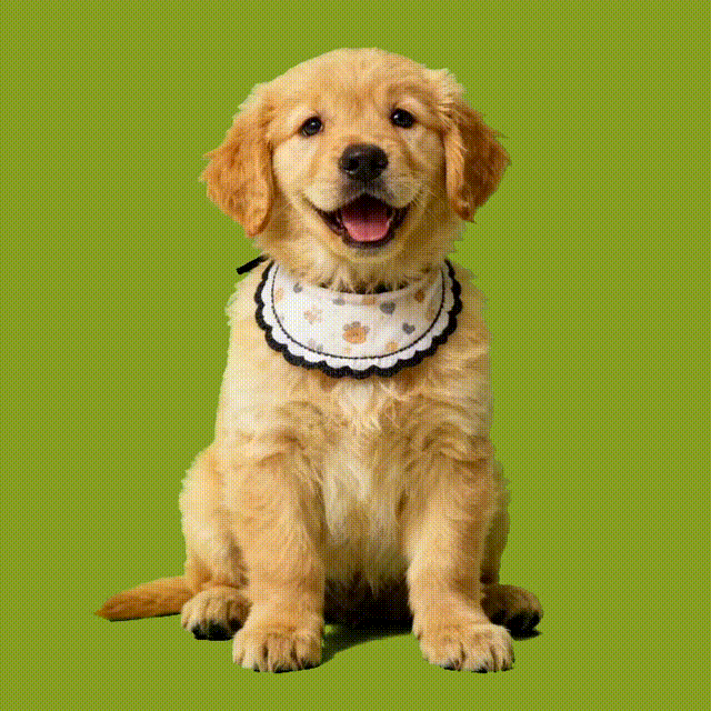 Personalized Pet Holograms House Lumina Boxes, Holographic Memorial Ornament, Cherish Your Pet’s Memory in Projection