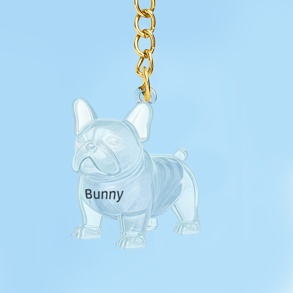 Dog Hair Collector Keychain Bag Charm Memorial Storage Box Sentimental Perfect for Storing Pet Hair Gift for Dog Lovers - CustWit