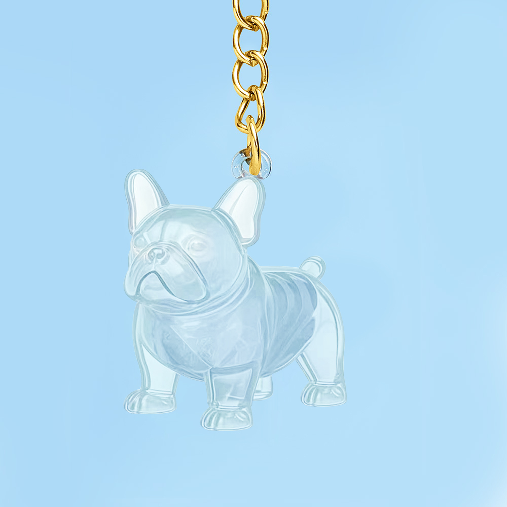 Dog Hair Collector Keychain Bag Charm Memorial Storage Box Sentimental Perfect for Storing Pet Hair Gift for Dog Lovers - CustWit