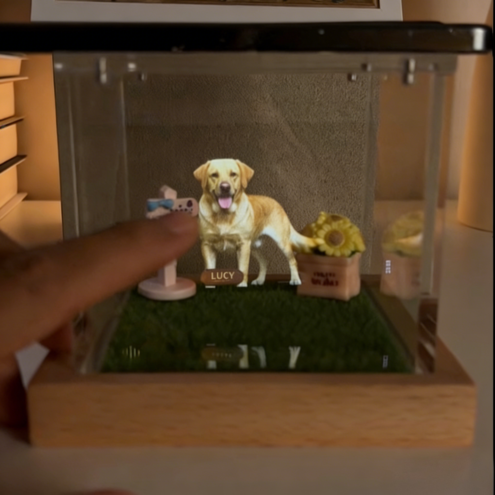 Casa Holográfica de Pet Personalizada com Base de Madeira, Caixas Lumina Holográficas para Pets