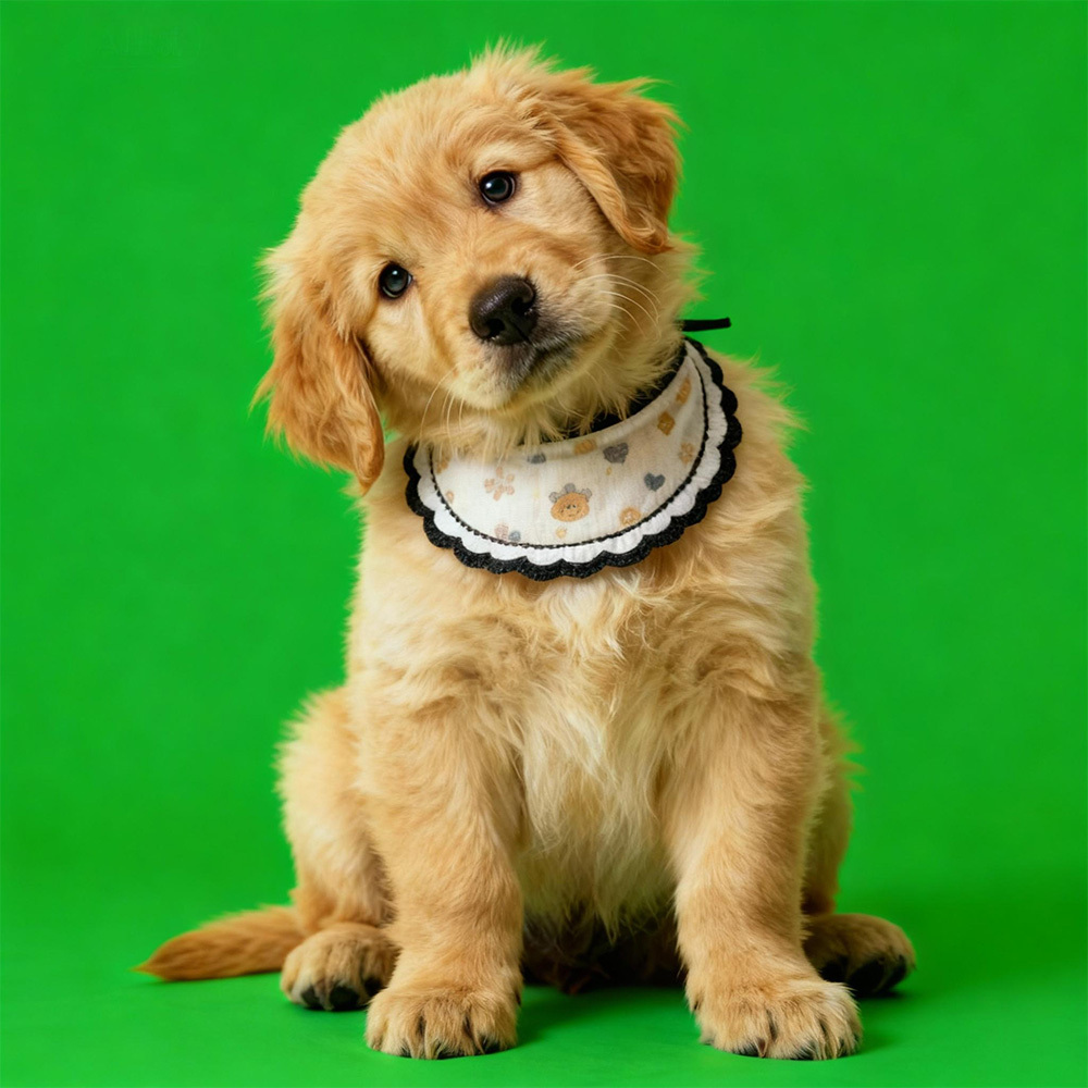 Cenários Digitais Holográficos para Casa Holográfica de Pets (Envio por e-mail — casa holográfica vendida separadamente)