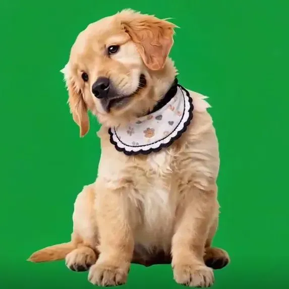 Personalized Pet Holograms House Lumina Boxes , Cherish Your Pet’s Memory in Projection