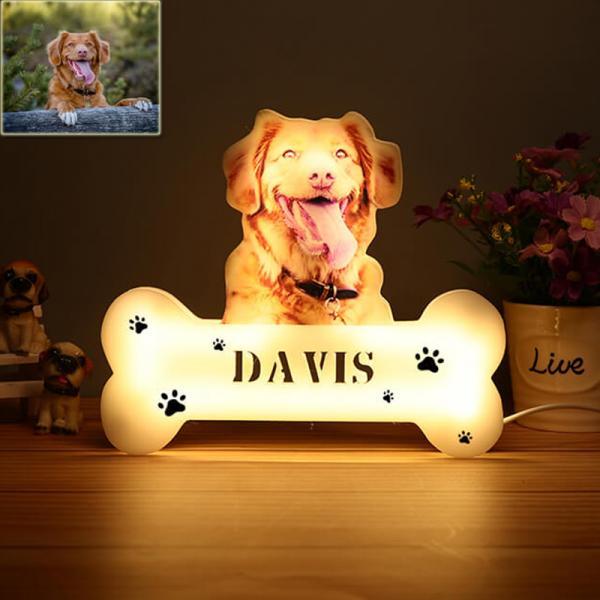 Acryl-nachtlicht Mit Individuellem Haustierporträt, Personalisierte Led-lampe Mit Foto Und Namen
