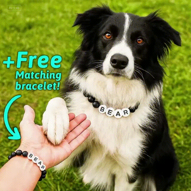 Collier de perles personnalisé pour votre animal de compagnie – Bracelet assorti inclus