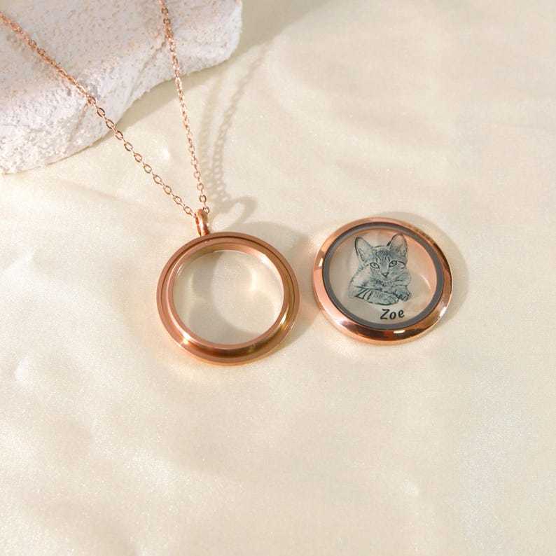 Collier Médaillon Personnalisé En Fourrure Pour Animaux De Compagnie, Collier Médaillon En Poils De Chien Et De Chat, Bijoux Commémoratifs Pour Animaux De Compagnie