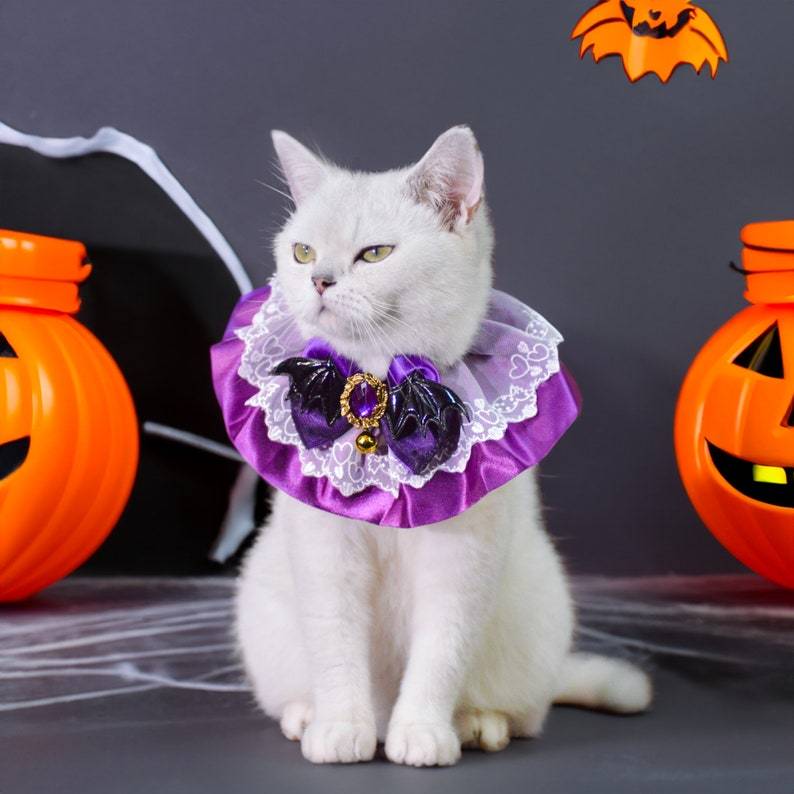 Costume D'halloween Enchanteur Pour Animaux De Compagnie : Chapeau De Sorcière Et Collier De Reine Pour Chats Et Chiens À Halloween