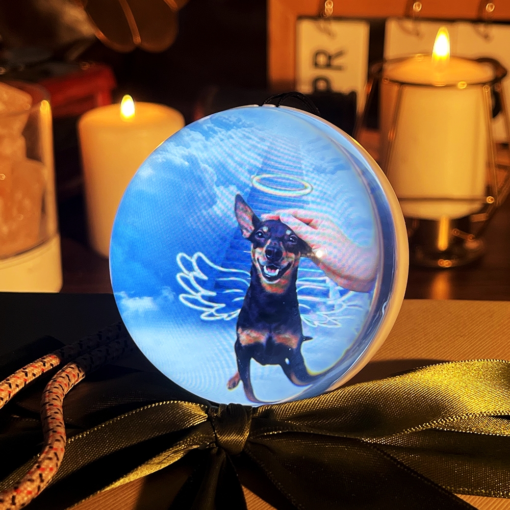 Boule De Cristal Commémorative À Faire Soi-même Avec Affichage Électronique | Sphère Lumineuse Personnalisée Pour Des Souvenirs Précieux | DIY Video Import Possible 