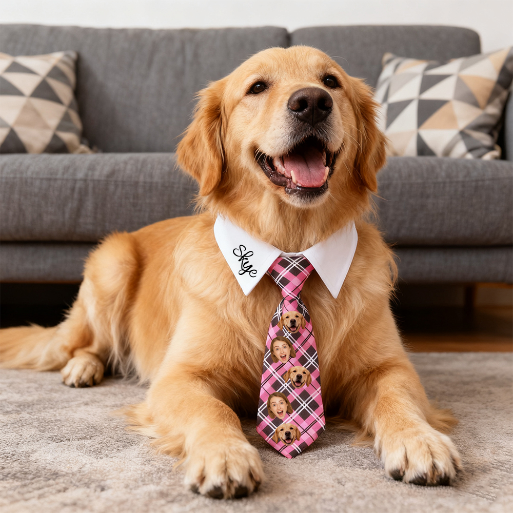 Cravate Personnalisée Pour Animal De Compagnie – Le Cadeau Idéal Pour Tous Les Jours Pour Les Amoureux Des Animaux