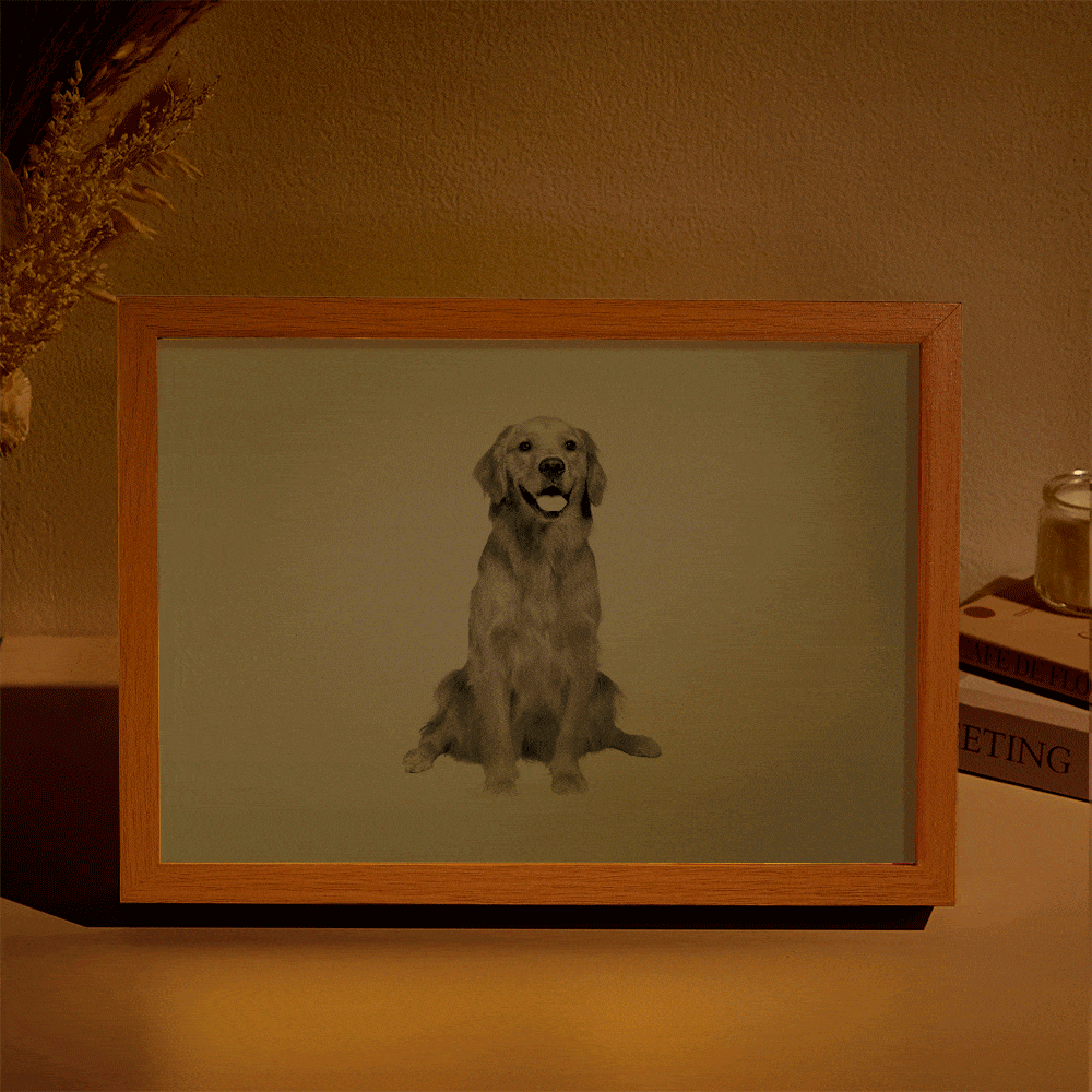 Veilleuse Photo Personnalisée Miracle Avec Motif De Nom Personnalisé, Cadeau Créatif Pour Les Amoureux Des Animaux