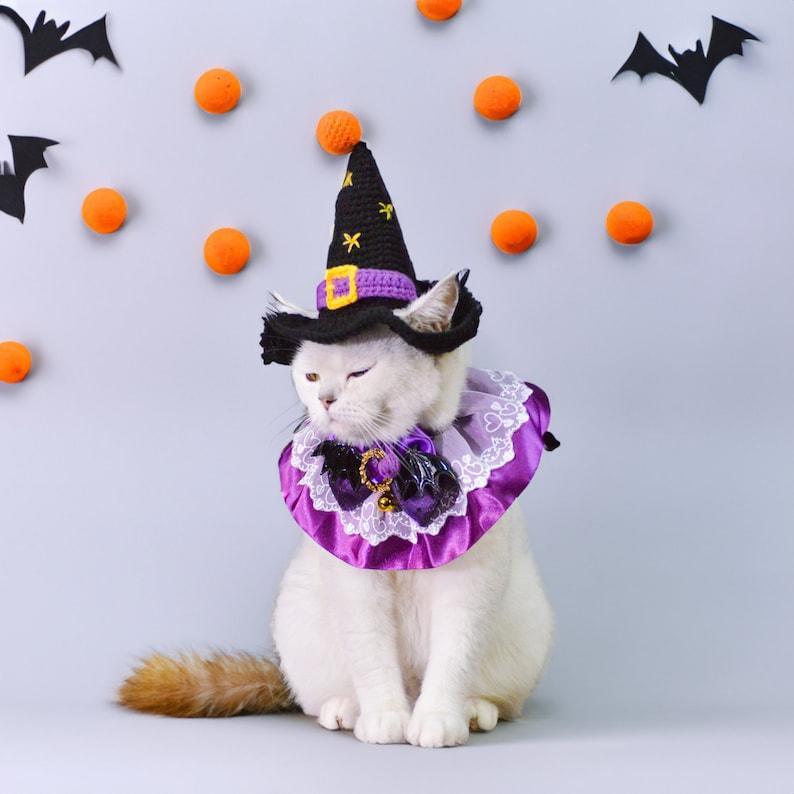 Costume D'halloween Enchanteur Pour Animaux De Compagnie : Chapeau De Sorcière Et Collier De Reine Pour Chats Et Chiens À Halloween