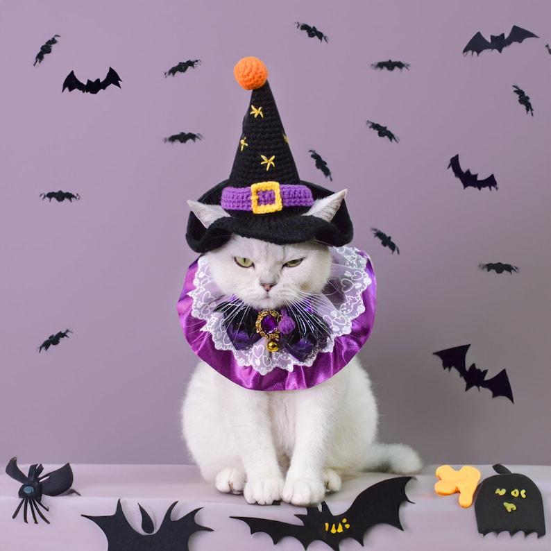 Costume D'halloween Enchanteur Pour Animaux De Compagnie : Chapeau De Sorcière Et Collier De Reine Pour Chats Et Chiens À Halloween