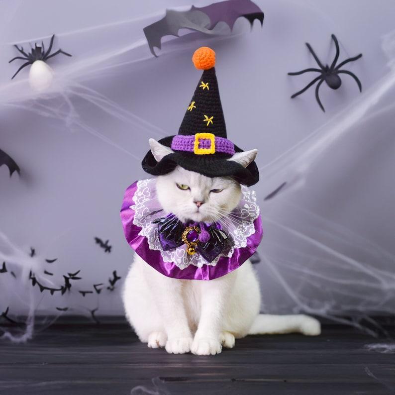 Costume D'halloween Enchanteur Pour Animaux De Compagnie : Chapeau De Sorcière Et Collier De Reine Pour Chats Et Chiens À Halloween