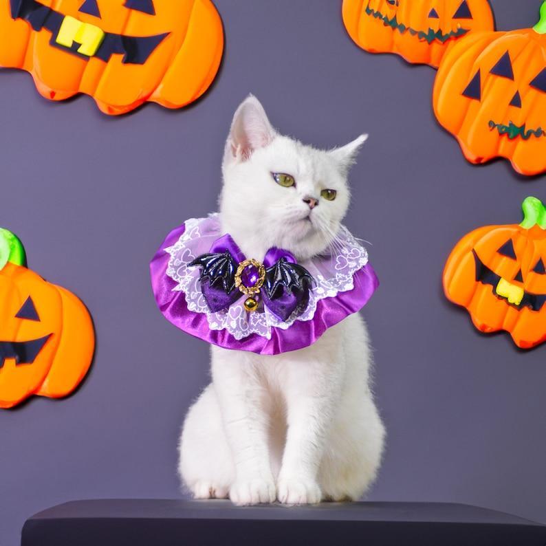 Costume D'halloween Enchanteur Pour Animaux De Compagnie : Chapeau De Sorcière Et Collier De Reine Pour Chats Et Chiens À Halloween