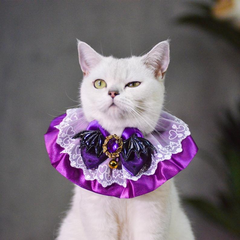 Costume D'halloween Enchanteur Pour Animaux De Compagnie : Chapeau De Sorcière Et Collier De Reine Pour Chats Et Chiens À Halloween