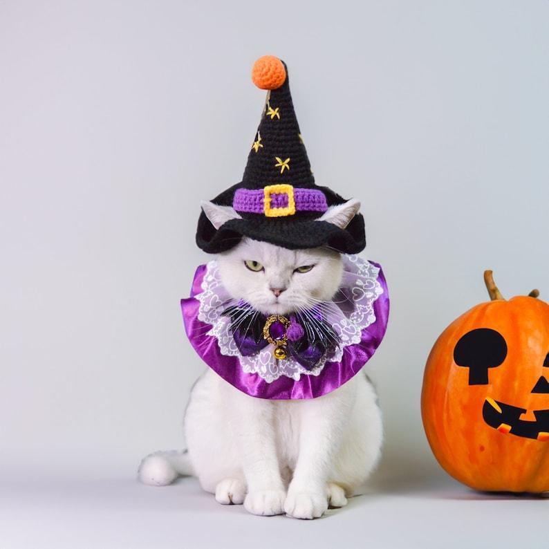 Costume D'halloween Enchanteur Pour Animaux De Compagnie : Chapeau De Sorcière Et Collier De Reine Pour Chats Et Chiens À Halloween