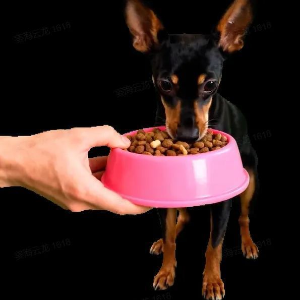 Maison Holographique 3d Pour Animaux De Compagnie, Boîtes Lumina, Présentoir Commémoratif Personnalisé Pour Animaux De Compagnie, Image Hologramme D'une Clarté Cristalline - CustWitFR