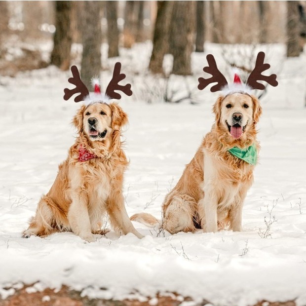 Fascia Per Capelli Natalizia Con Corna Di Renna Per Animali Domestici, Fascia Natalizia Per Gatti E Cani, Fascia Per Capelli Natalizia Con Corna Di Renna E Campanellino Per Animali Domestici