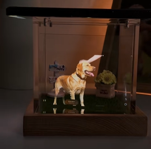 Casa Olografica Digitale Per Animali Domestici Con Base In Legno